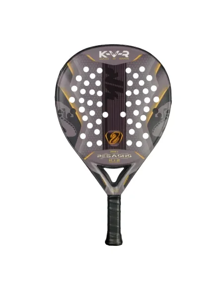 akkeron-black-pegasus-pro