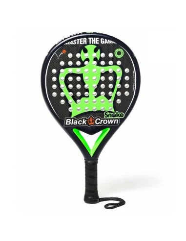 black-crown-snake-2022-black-crown