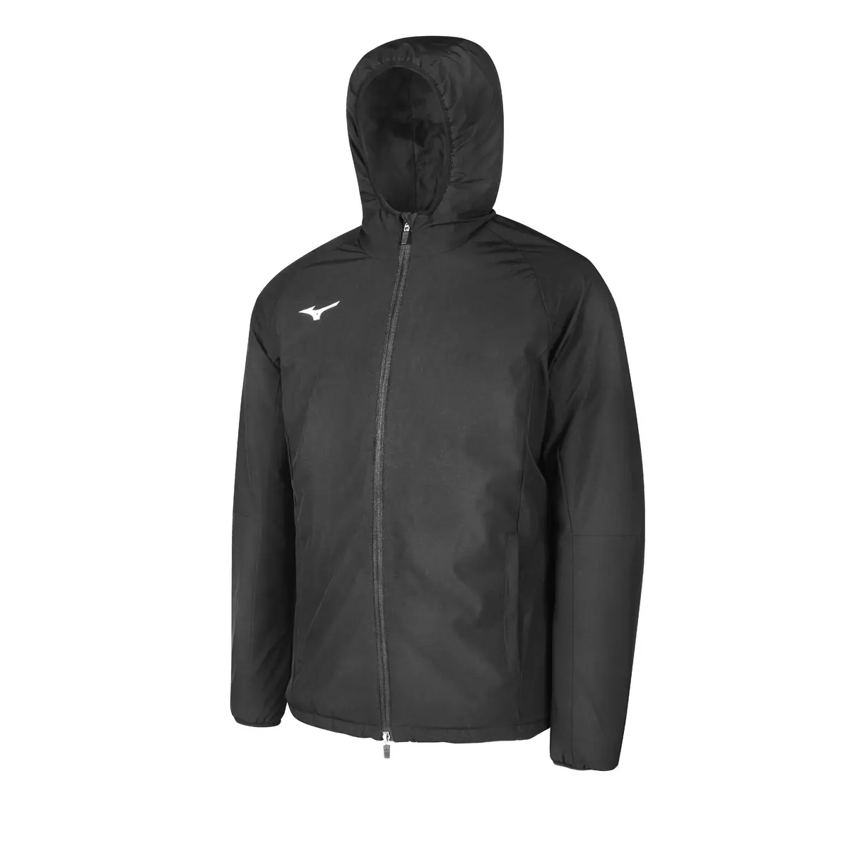 handball-store1-4611486
