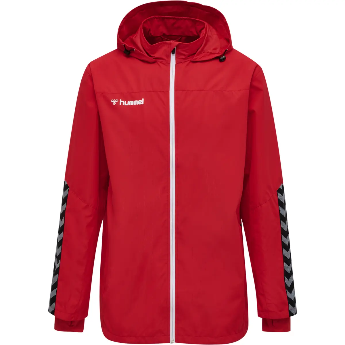 handball-store1-4638272