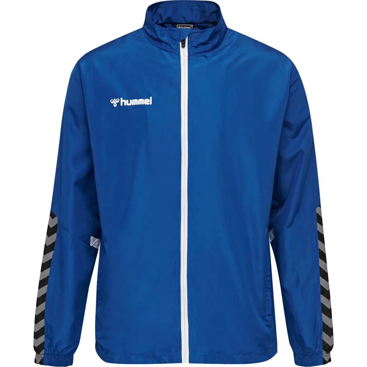 handball-store1-4646828