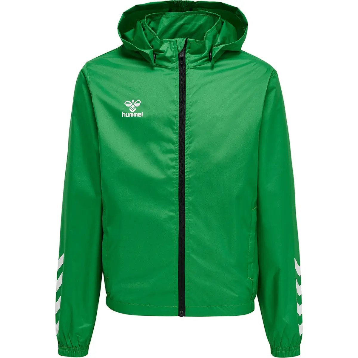 handball-store1-4693409