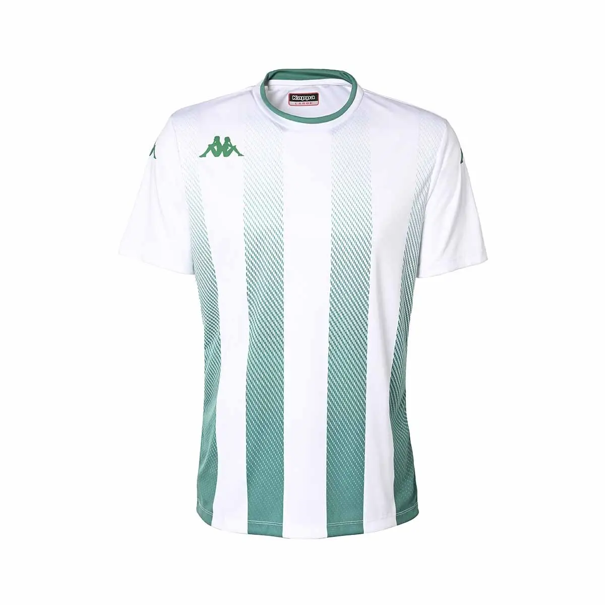 handball-store1-4695080