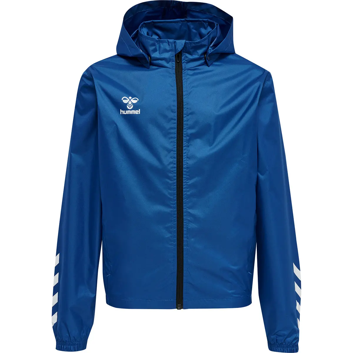 handball-store1-4696864