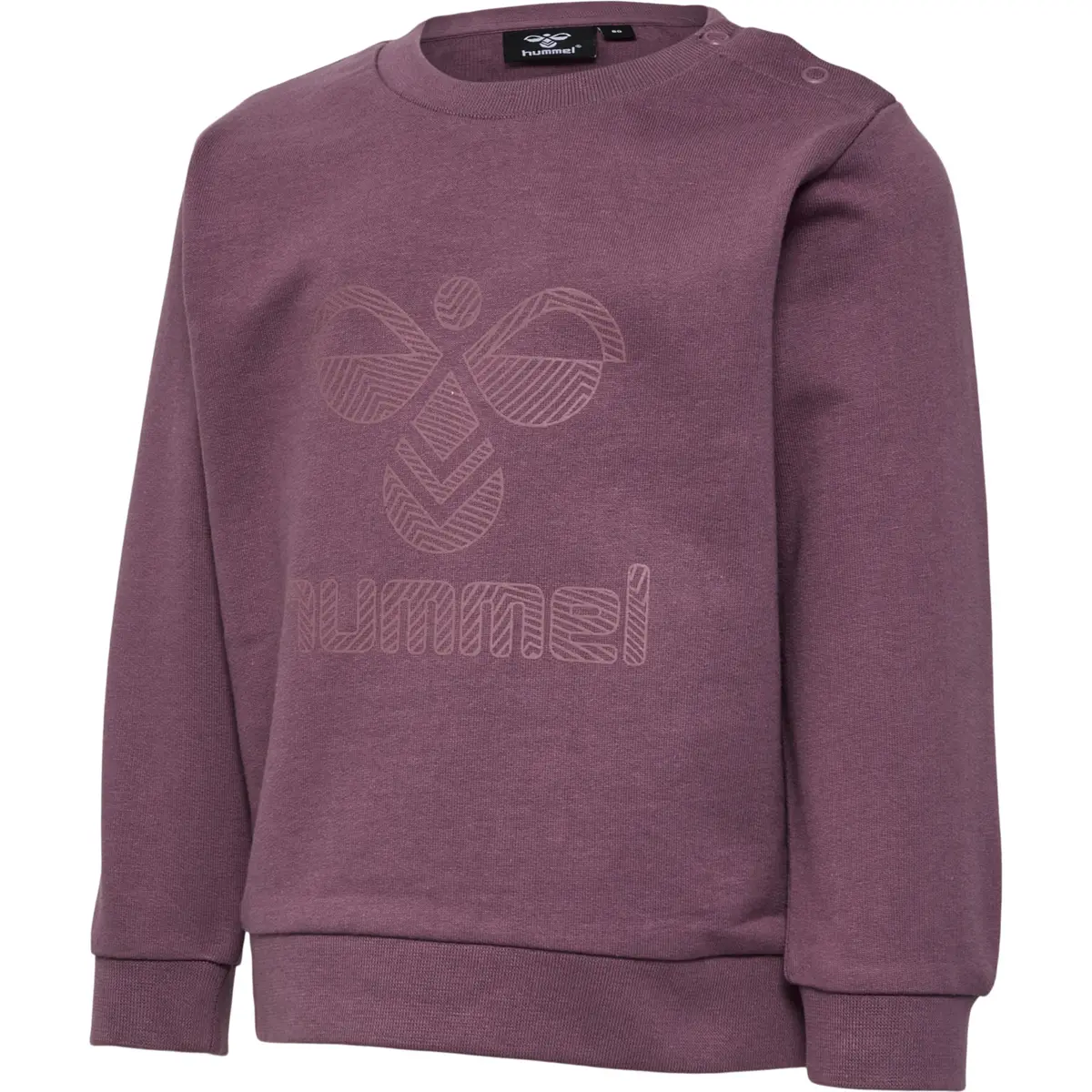 handball-store1-4701502