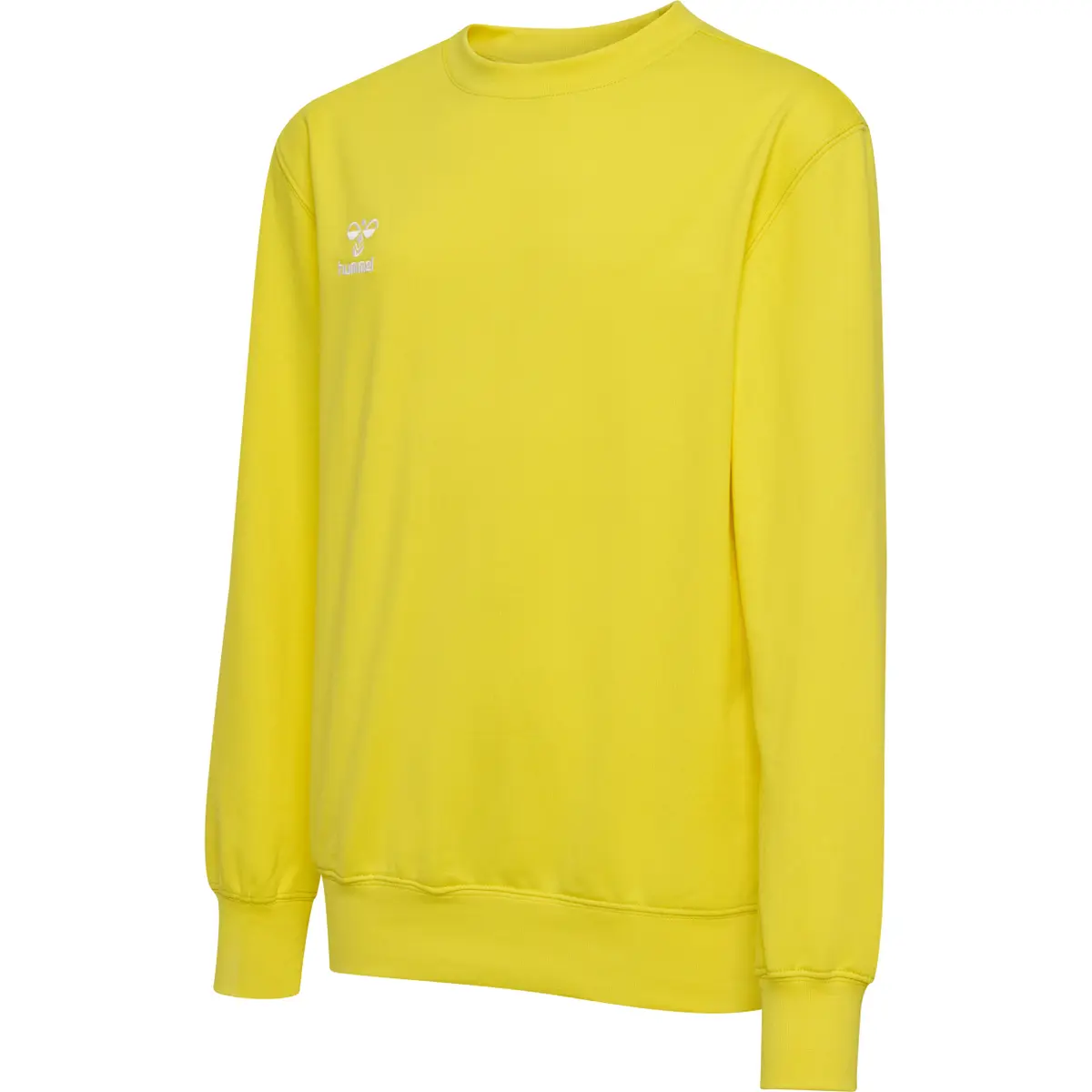 handball-store1-4703051