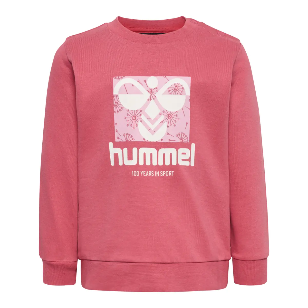 handball-store1-4703902
