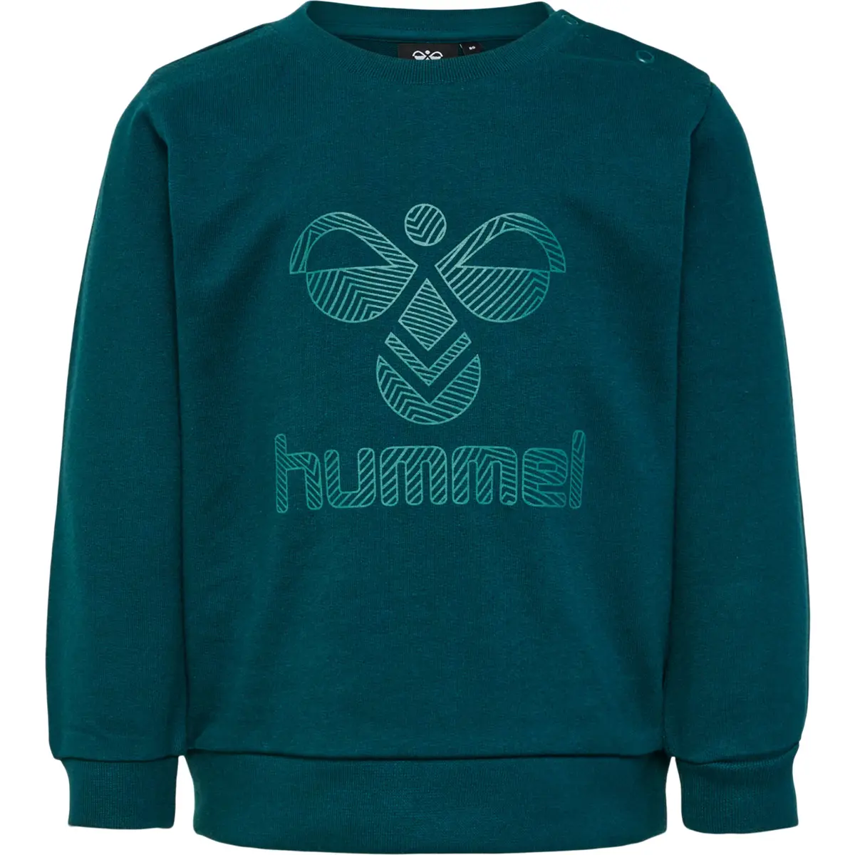 handball-store1-4704061