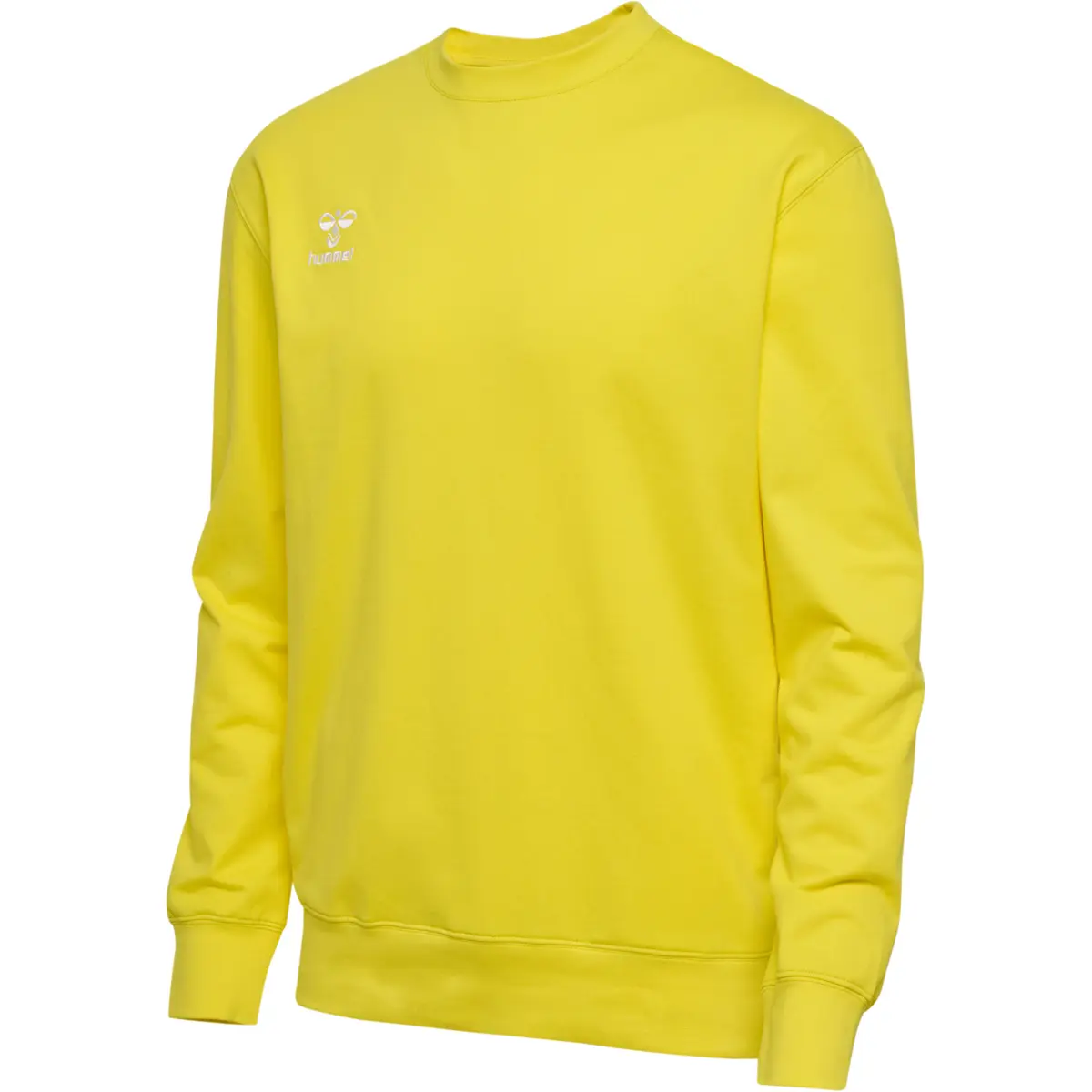 handball-store1-4706253