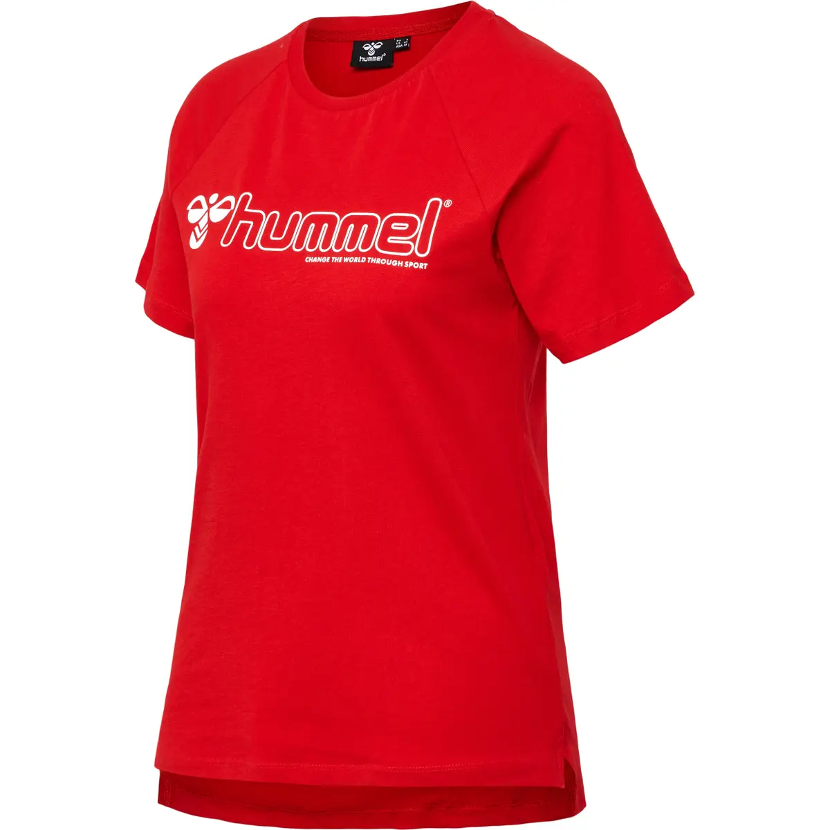 handball-store1-4709775