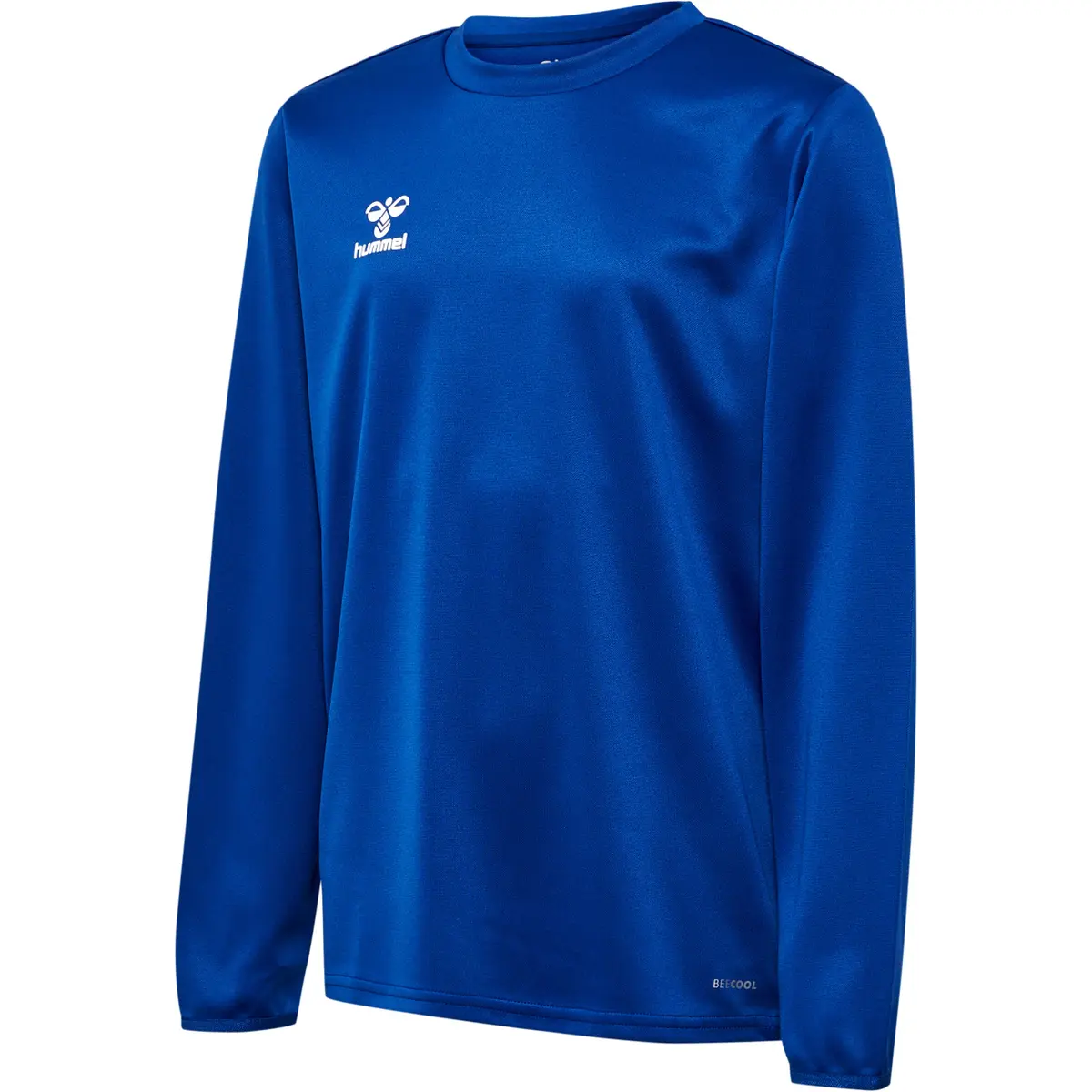 handball-store1-4713820