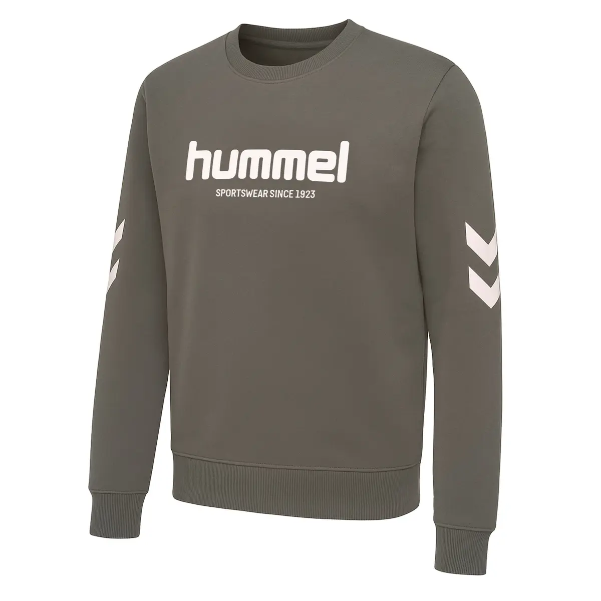 handball-store1-4713878
