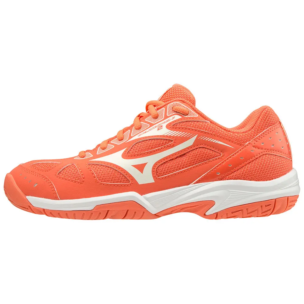handball-store1-4722084