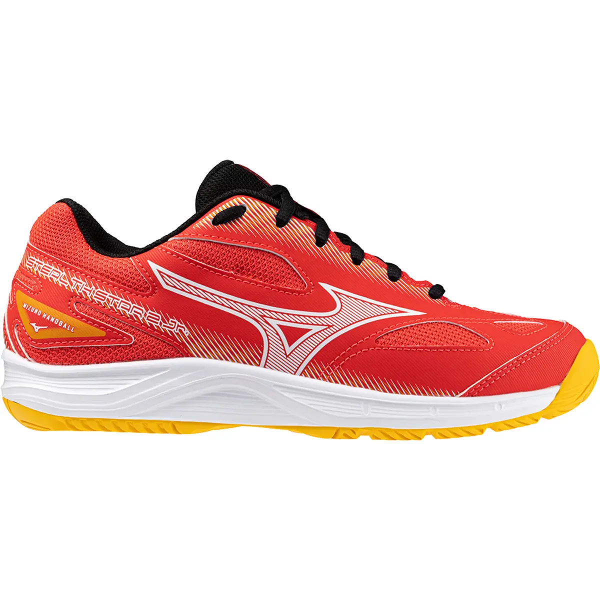handball-store1-4723891