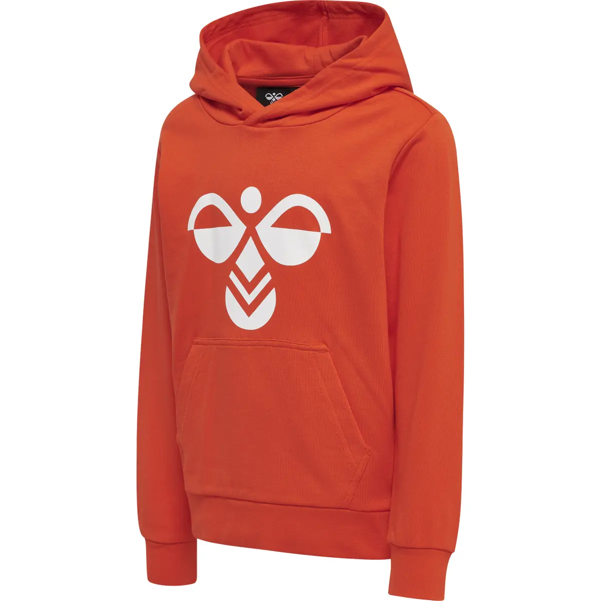 handball-store1-4729050