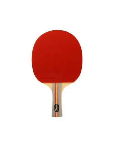 tennispro-4605543