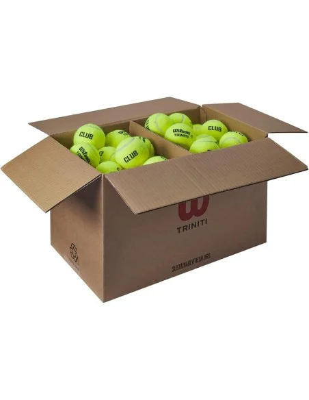 tennispro-4606311