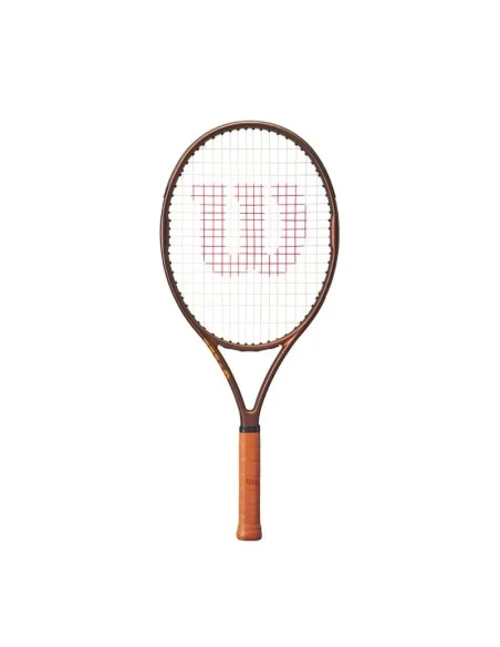 tennispro-4607701