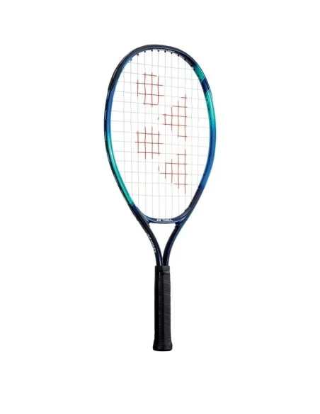 tennispro-4610666