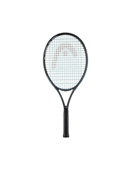 tennispro-4611502