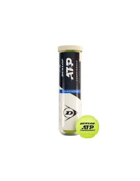 tennispro-4615774