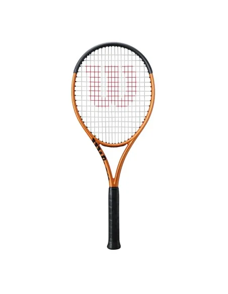 tennispro-4616590