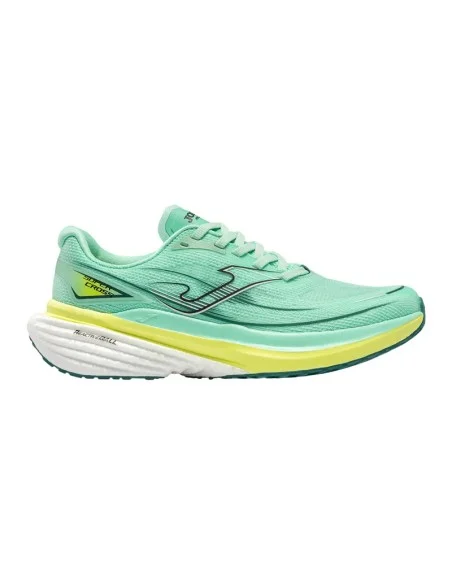 tennispro-4617540