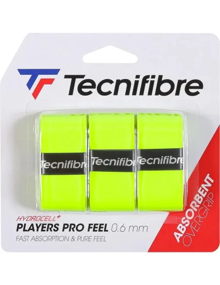 tennispro-4619071